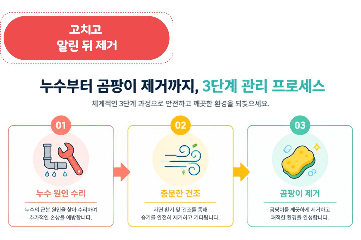 누수 수리 → 건조 → 곰팡이 제거 3단계 순서 인포그래픽
