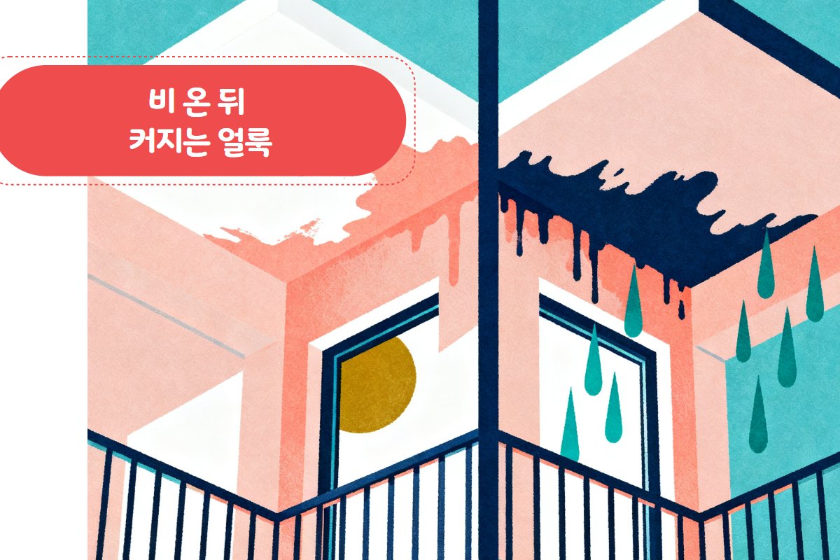 외벽 크랙 — 야외 자연광, 빗물 자국 흔적
